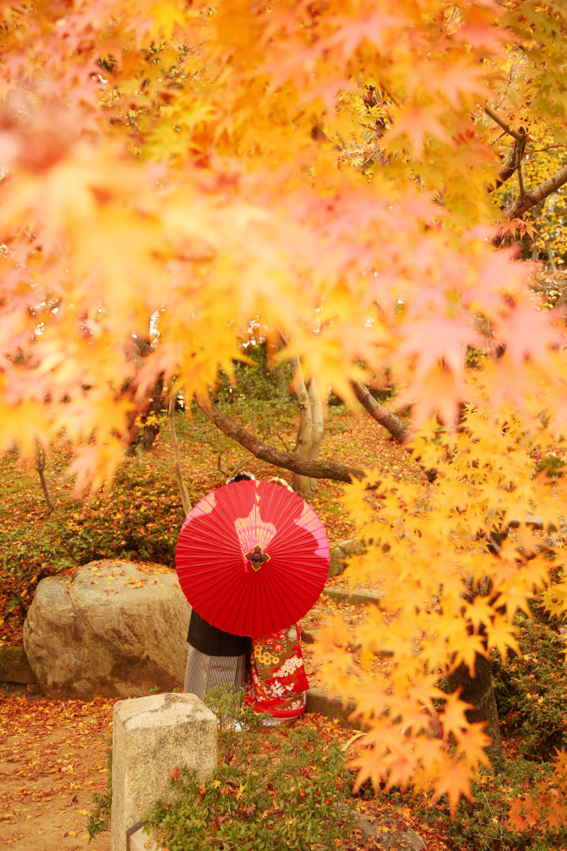 紅葉ロケーション