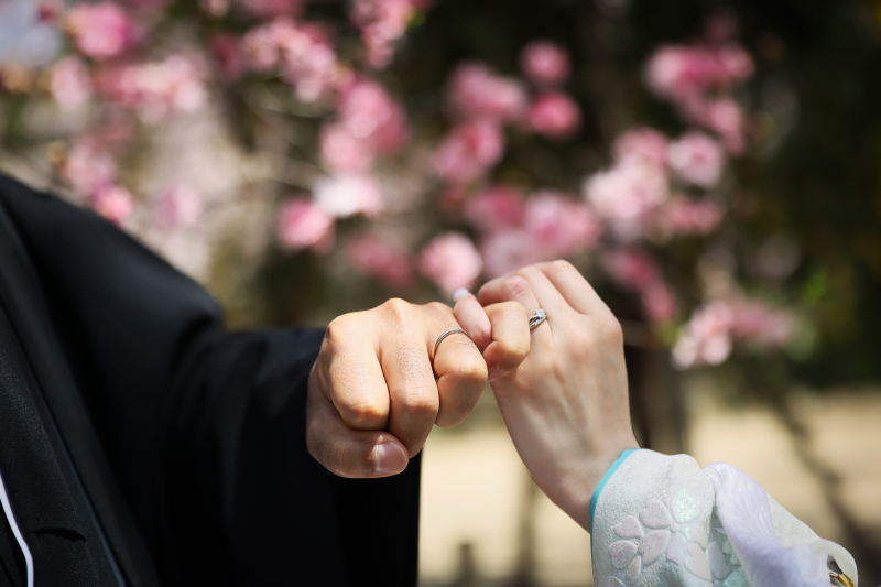 桜フォト