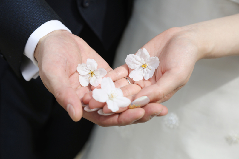 桜満開❀前撮り