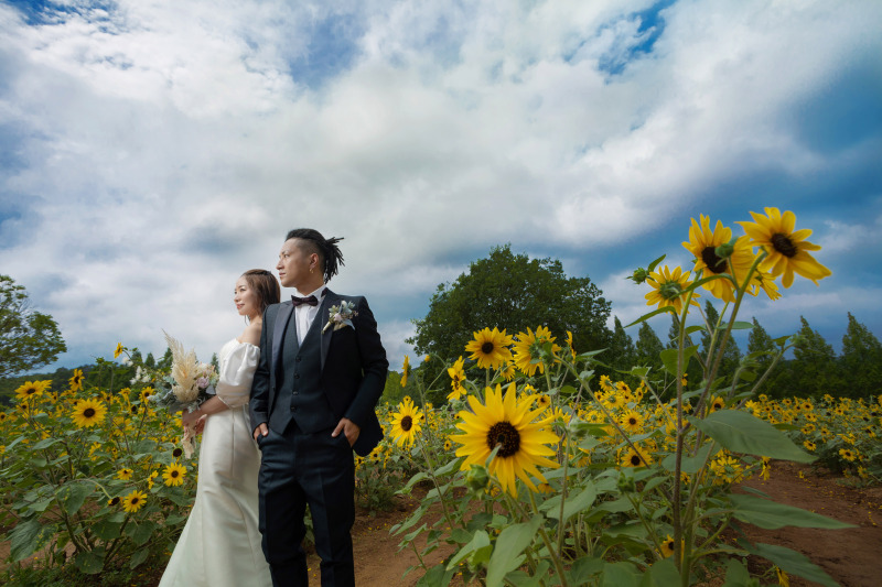 夏の花といえば