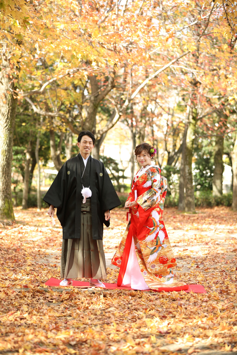 オレンジの絨毯