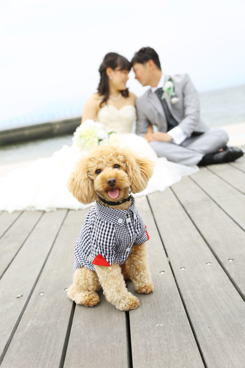 ペットだって大事な家族♡