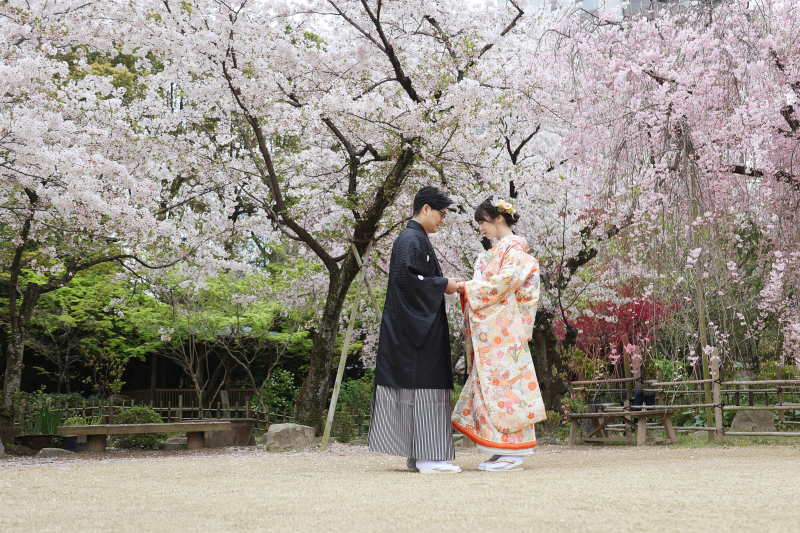 満開のさくらフォト