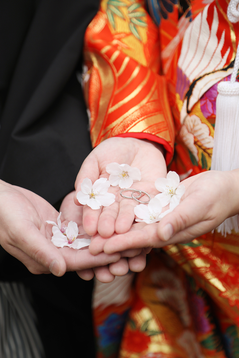 イメージカット