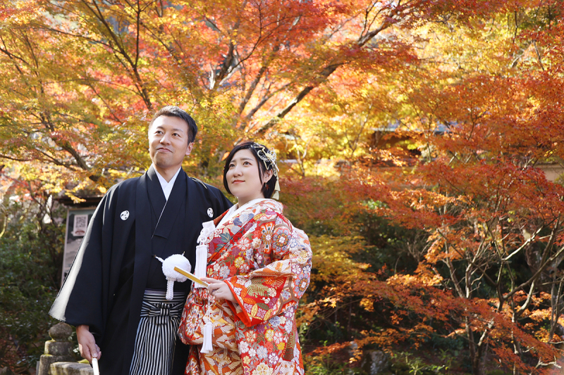 燃えるような紅葉