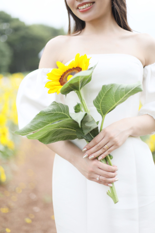 ひまわり畑ウェディング