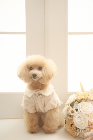 わんちゃんと一緒に♡