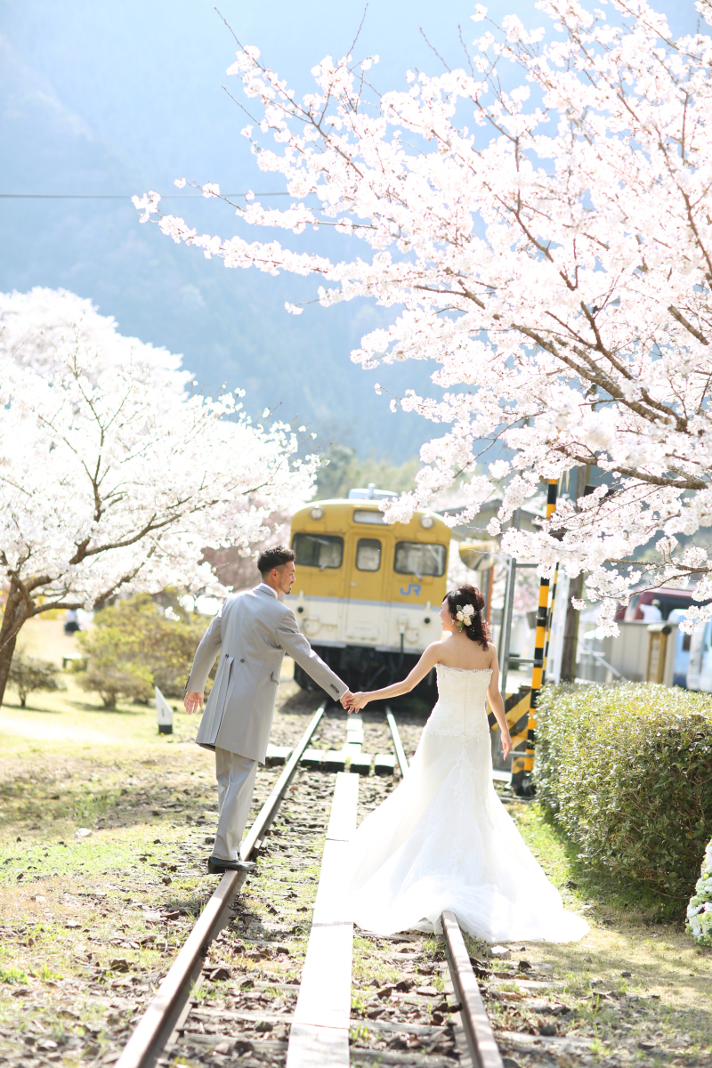 桜満開！春のロケーションフォトウェディング