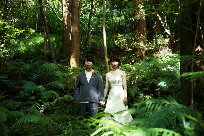 ジャングルみたいな