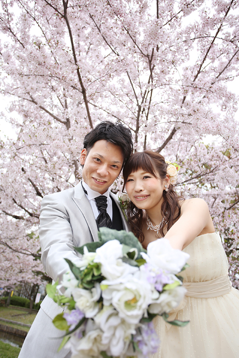 桜ロケーションフォト