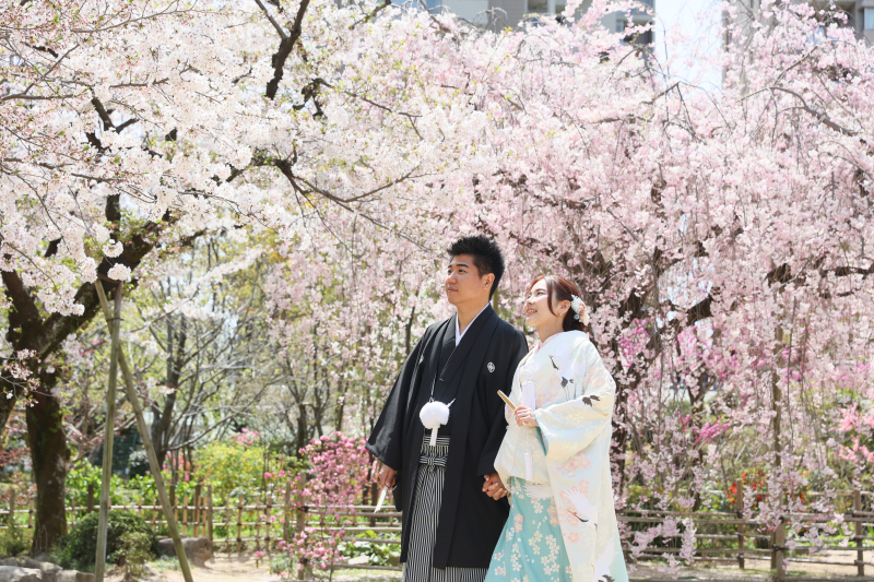 桜を見上げながら