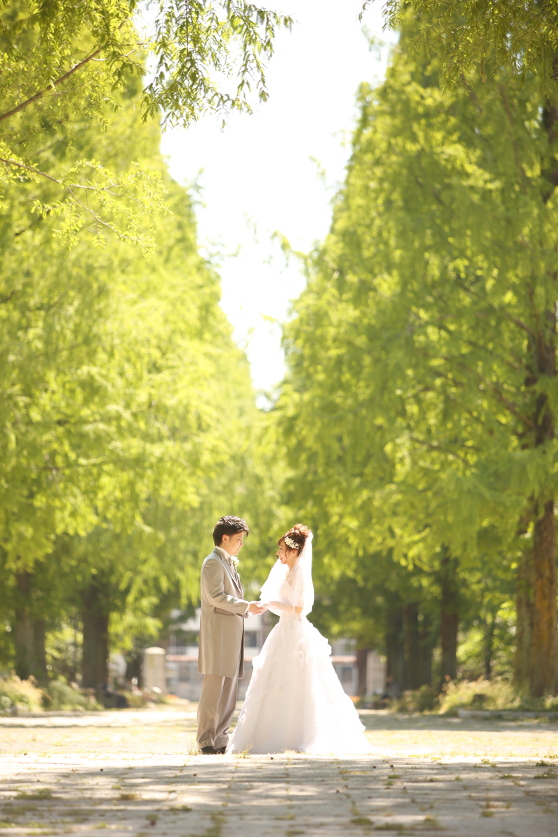 物語の中のような1枚