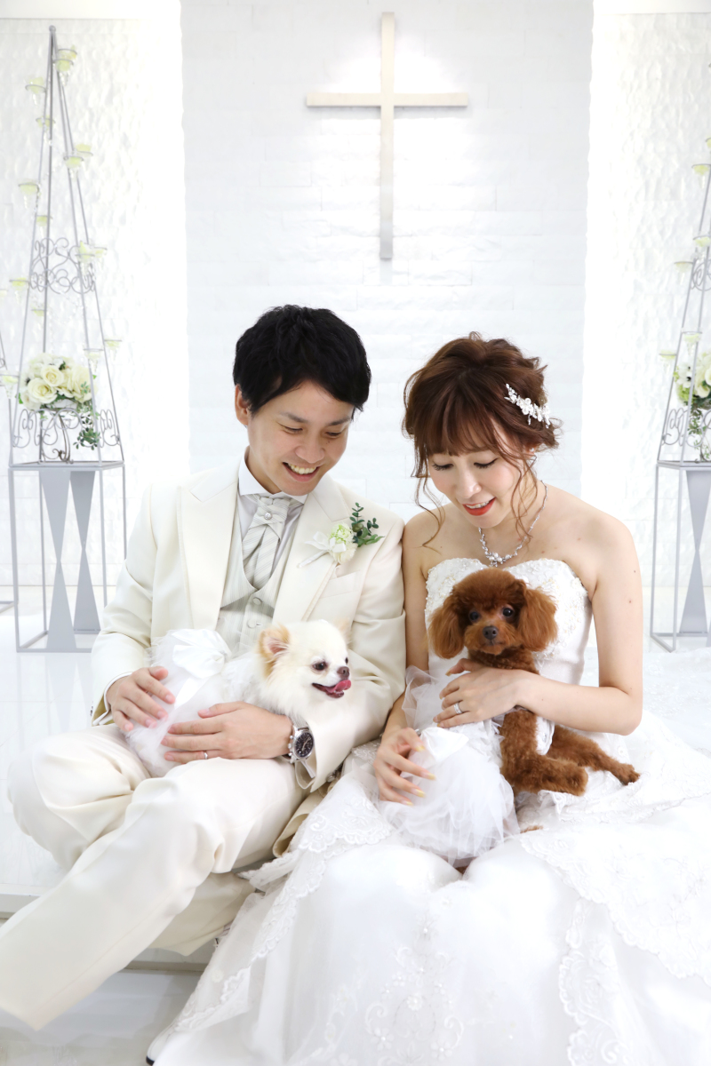 ペットとの撮影もOK