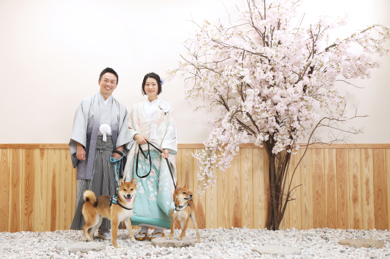 大進創寫舘ウェディング_ペットと一緒に撮影できる