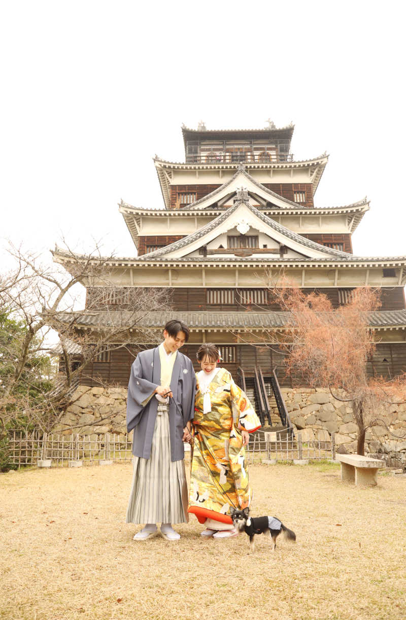 ナチュラルなペット写真