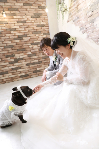大進創寫舘ウェディング_ワンわんワンダフル