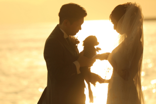 大進創寫舘ウェディング_ワンわんワンダフル