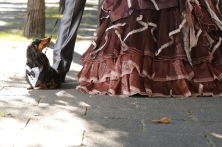 大進創寫舘ウェディング_ファミリーフォト