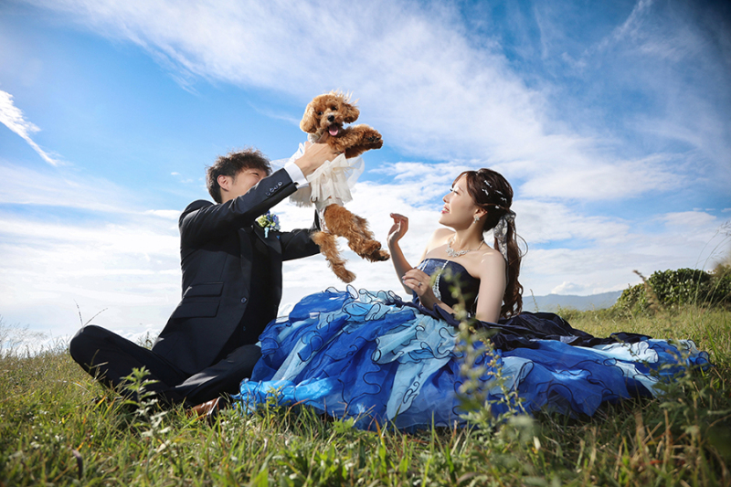 わんこの一瞬のカメラ目線。逃しません！