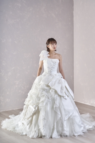 CRT-64(PURINCESS-2)