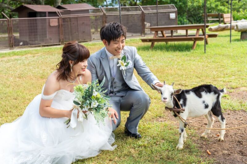 ヤギさんのカメラ目線♡