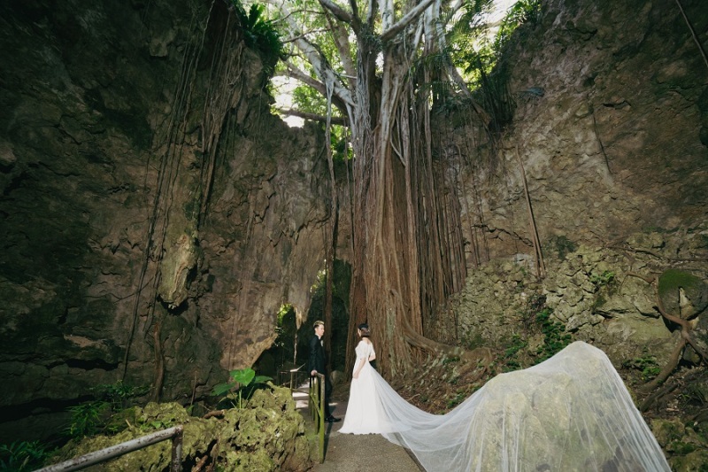 ヴェールを使って