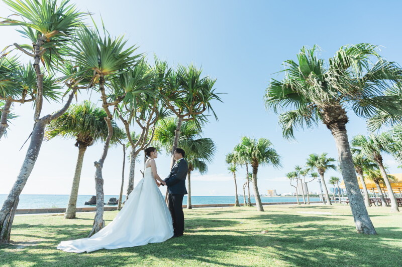 ヤシの木ショット～～☆