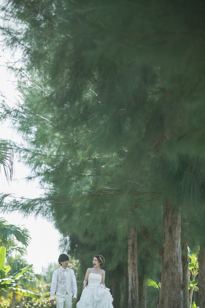 グリーンの中でお散歩中♪