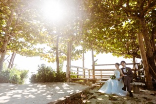 ～フクギ並木＆ビーチフォトプラン～