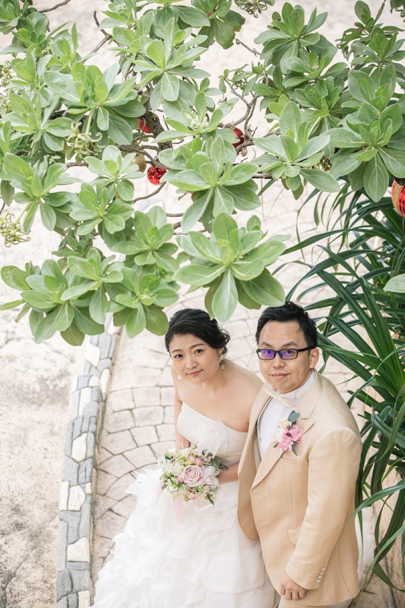 木を入れて上から撮影してみました~♪