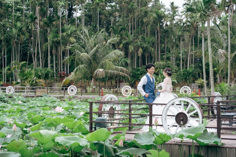 続いて、大きな植物に囲まれてお写真を撮影してます