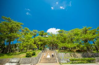 ご家族でロケーションフォトウエディング