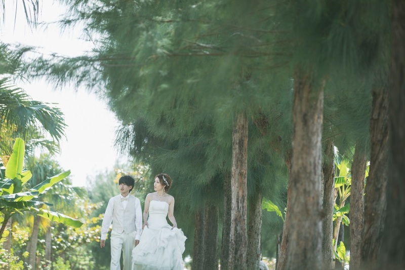 少し近くに寄りました~~~