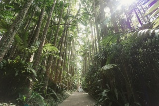 ～東南植物楽園＆ビーチフォトプラン～