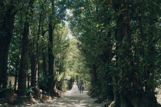 *自然豊かなフクギ並木とアクアグレイスチャペルにて撮影スタート*