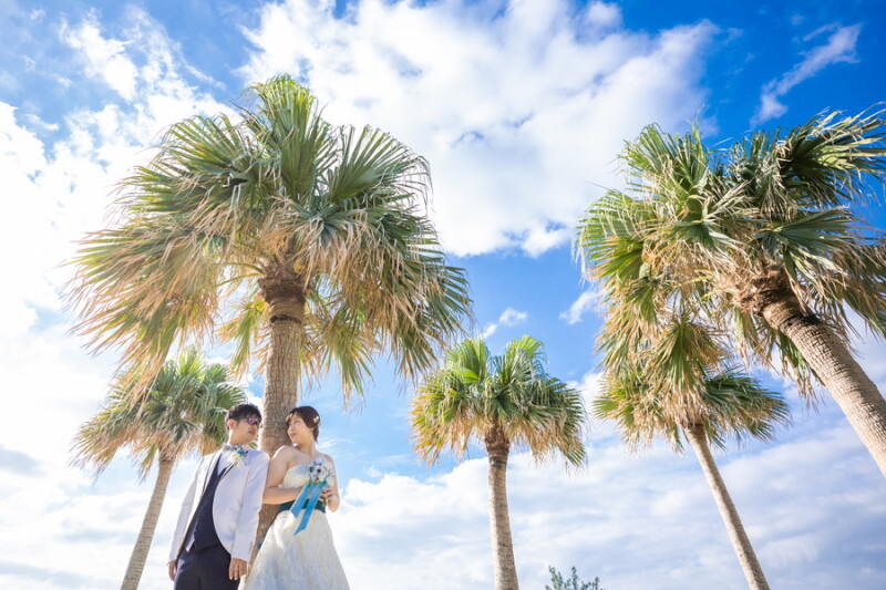 ヤシの木ショット☆