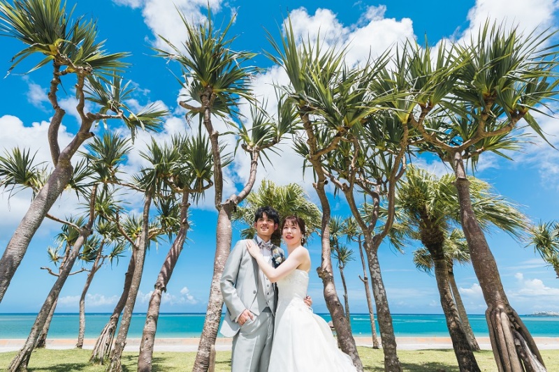 ヤシの木と一緒にお写真を撮りました～！