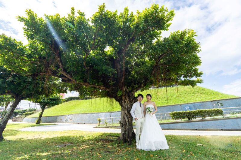 かじゅまるの木の下で。