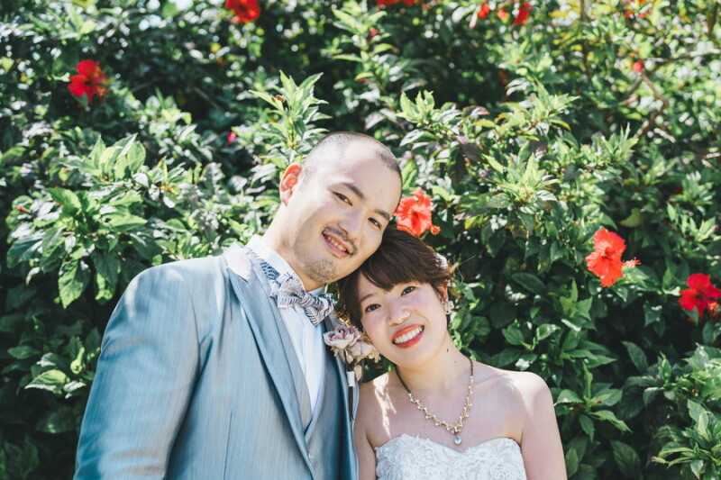 ハイビスカス❁