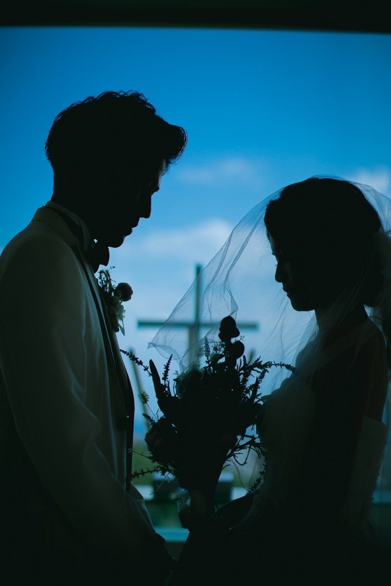 シルエット姿を撮りました~♪