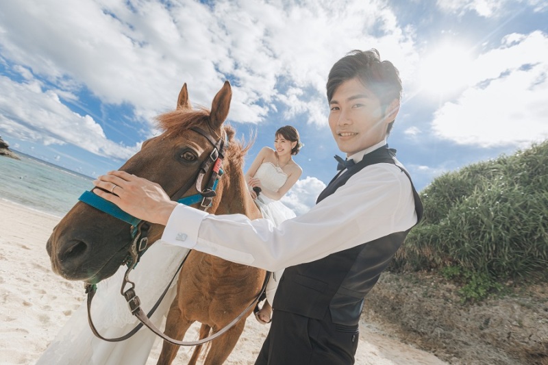 お馬さんをなでなで