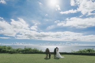 ～お馬さんフォト～