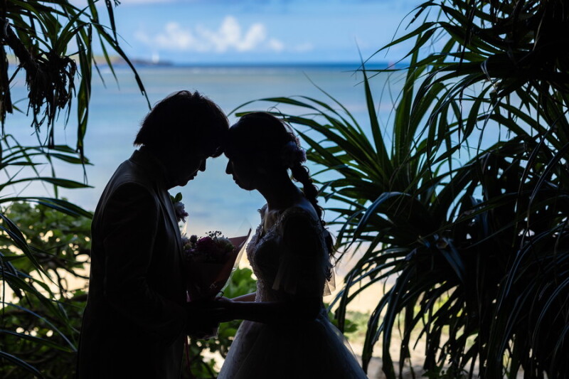 美しいシルエット(*^^*)