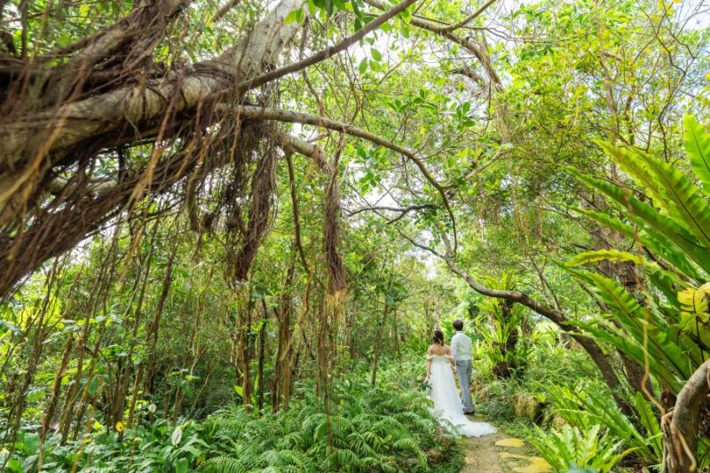 自然に囲まれて～