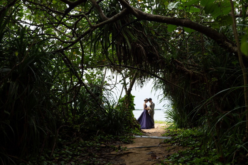 グリーンの間から～