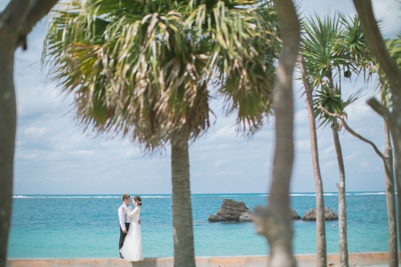 遠くからお撮りしました～～～