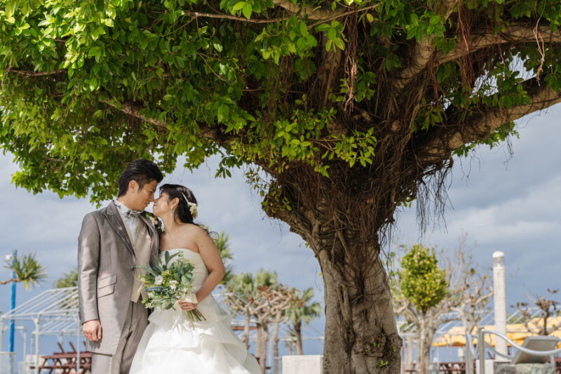 ガジュマルの下で