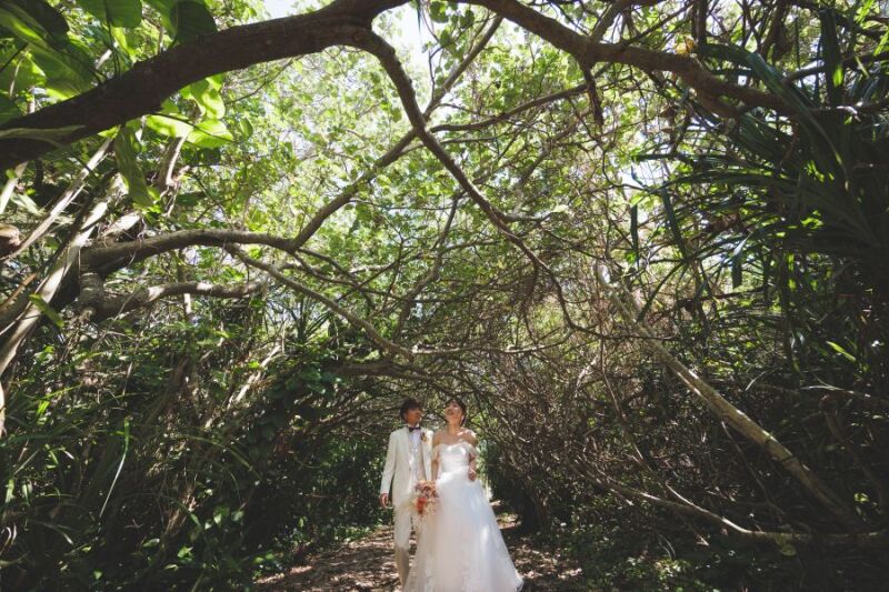 緑の小道を通って。