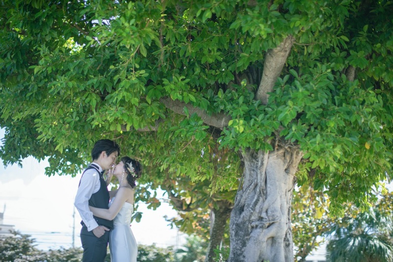 大きな木の下で撮りました♡