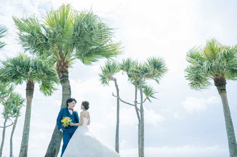 ビーチの目の前のヤシの木と一緒に撮りました～